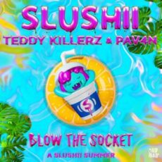 Slushii & Teddy Killerz & PAV4N - Blow The Socket