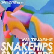 Snakehips - Who's Gonna Love You Tonight (with Tinashe)