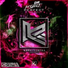 D.M. Project - Perfect (Extended Mix)
