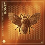 JØRD & Zuffo feat. Sofia Gayoso - Honey (Original Mix)