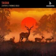 Zafrir & Thomas Gold - Kaisha (Original Mix)