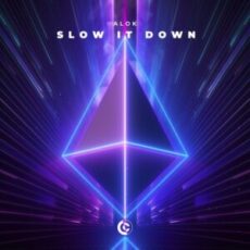 Alok - Slow It Down (Extended Mix)