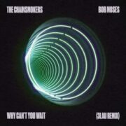 The Chainsmokers & Bob Moses - Why Can't You Wait (3LAU Remix)