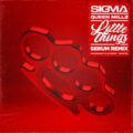 Sigma & Queen Millz - Little Things (Serum Remix)