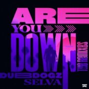 Dubdogz & Selva - Are You Down (Gustavo Mota & Evoxx Remix)