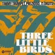 Timmy Trumpet, Prezioso & 71 Digits - Three Little Birds
