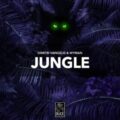 Dimitri Vangelis & Wyman - Jungle (Extended Mix)