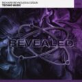 Richard Reynolds & Ozgun - Techno Music (Extended Mix)