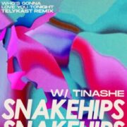 Snakehips - Who's Gonna Love You Tonight (TELYKast Remix)