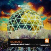 Avalanche & DJ Tivek - BigBoss