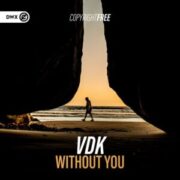 Vdk - Without You