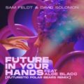 Sam Feldt - Future In Your Hands (Futuristic Polar Bears Remix)