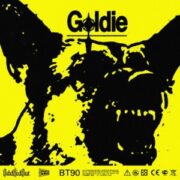 Oddkidout - GOLDIE EP