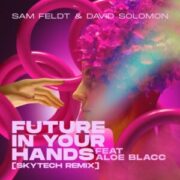 Sam Feldt & David Solomon - Future In Your Hands (Skytech Remix)
