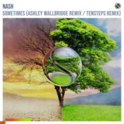 NASH - Sometimes (Ashley Wallbridge Remix / Tensteps Remix)