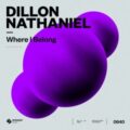Dillon Nathaniel - Where I Belong (Extended Mix)