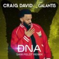 Craig David & Galantis - DNA (Sam Feldt Remix)