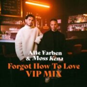 Alle Farben & Moss Kena - Forgot How to Love (VIP Mix)