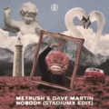 Metrush & Dave Martin - Nobody (Stadiumx Extended Edit)