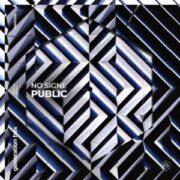 NO SIGNE - Public (Extended Mix)