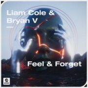 Liam Cole & Bryan V - Feel & Forget (Original Mix)