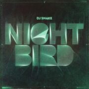 DJ Snake - Nightbird