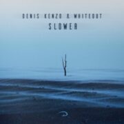 Denis Kenzo & WHITEOUT - Slower (Extended Mix)