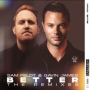 Sam Feldt & Gavin James - Better (The Remixes)
