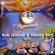Rob Gasser & Harley Bird - Spent