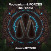 Voolgarizm & FORCES - The Riddle (Extended Mix)