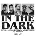 VINAI, Lucas Estrada & Moonshine - In The Dark (feat. Polarwulf)