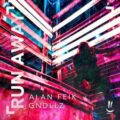 Alan Feik & GNDLLZ - Run Away (Extended Mix)