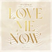 Ofenbach feat. FAST BOY - Love Me Now (LUM!X Remix)