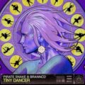Pirate Snake & Brannco - Tiny Dancer (Extended Mix)