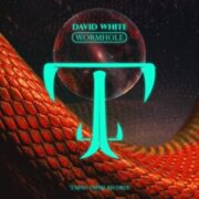 David White - Wormhole (Extended Mix)