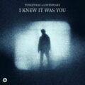 Tungevaag x Lovespeake - I Knew It Was You (Extended Mix)