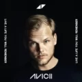 Avicii - Live A Life You Will Remember EP