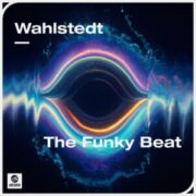 Wahlstedt - The Funky Beat