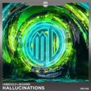 Unbehold x Boomer - Hallucinations