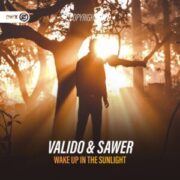 Valido & Sawer - Wake Up In The Sunlight