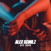 Alex Schulz - Bed Burn