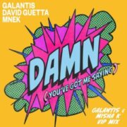 Galantis & David Guetta & MNEK - Damn (You’ve Got Me Saying) (Galantis & Misha K VIP Mix)