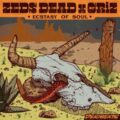 Zeds Dead & GRiZ - Ecstasy of Soul