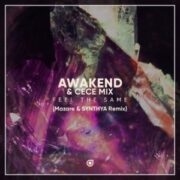 AWAKEND & CeCe Mix - Feel The Same (Mazare & SYNTHYA Remix)