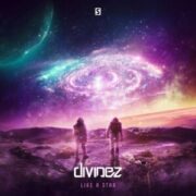 Divinez - Like A Star (Original Mix)