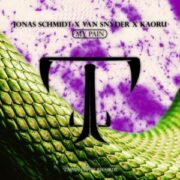 Jonas Schmidt & Van Snyder & Kaoru - My Pain (Extended Mix)