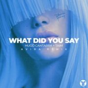 Hugo Cantarra & Taim - What Did You Say (AVIRA Remix)