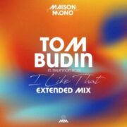 Tom Budin Ft. Rhiannon Roze - I Like That (Extended Edit)