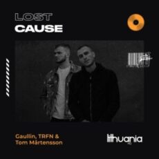 Gaullin & TRFN & Tom Mårtensson - Lost Cause