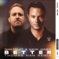 Sam Feldt & Gavin James - Better (Thomas Nan Remix)